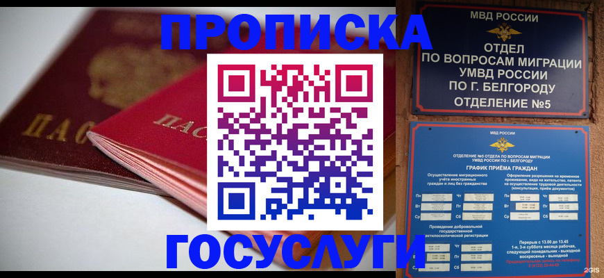 временная регистрация собственник в Михайловске